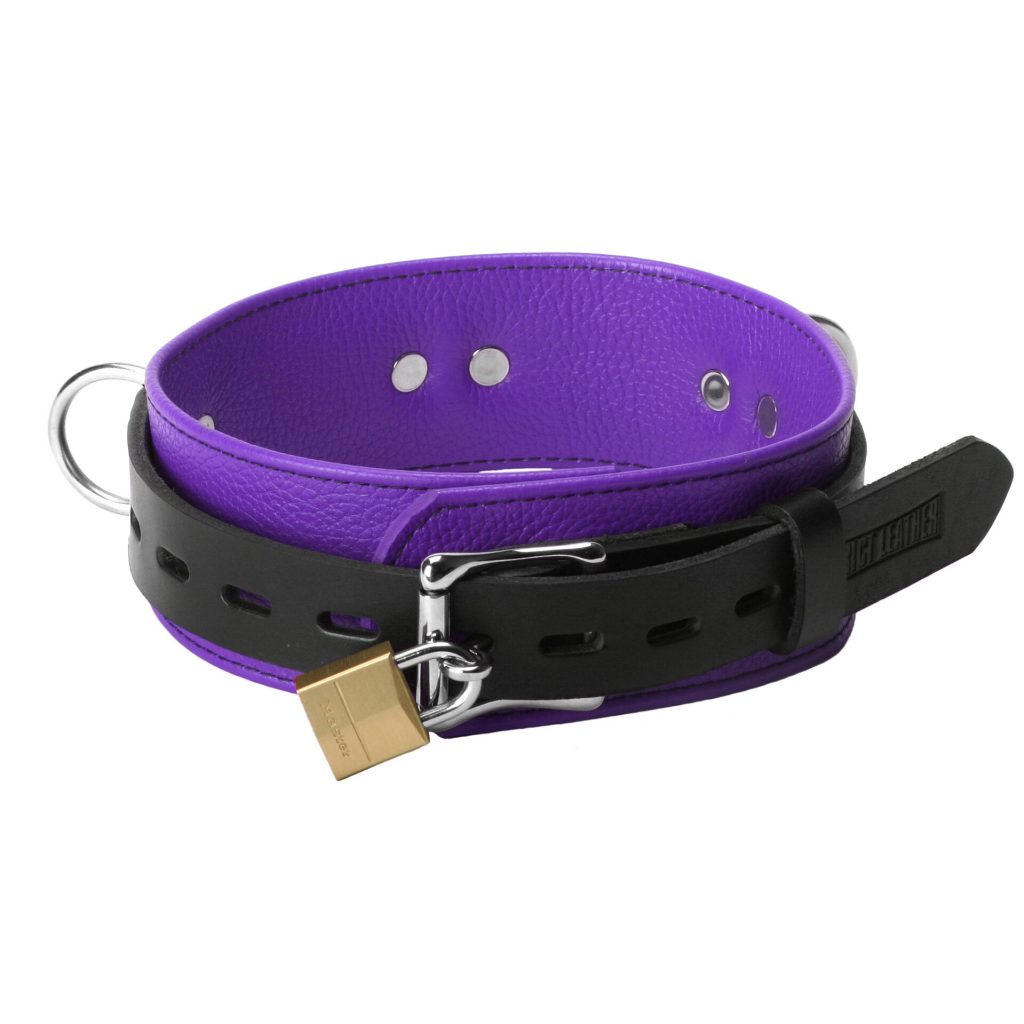 Strict Leather Deluxe Locking Collar - Purple And Black