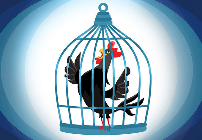 Cock Cages | Penis Cage Options For Chastity Play & More – RoxySexToys