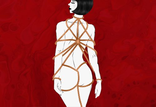 Bondage Restraints & Ropes